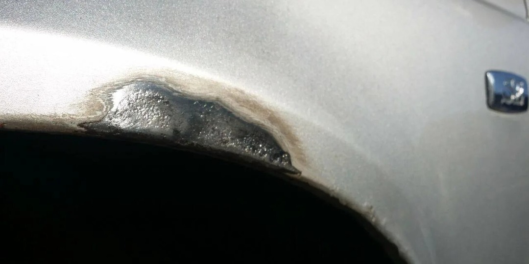 Теперь ни рыжики, ни гнилые пороги не страшны: проверенный способ без сервиса