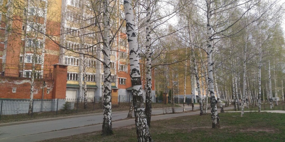 Когда при ремонте в своей квартире не стоит перестраивать стены! Будут штрафы и административные проблемы