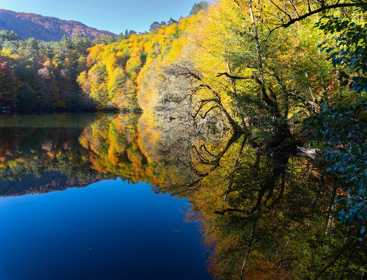 Вдоль берегов озёр в национальном парке раскинулись смешанные леса с густой листвой, местами встречаются водопады и площадки для пикников. 