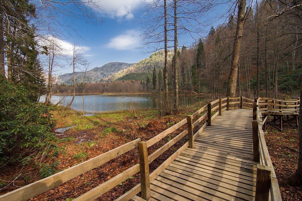 Фото: Bulent Karaman, CC BY-SA 4.0 via Wikimedia Commons