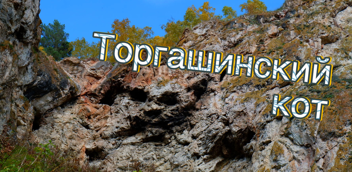 «Торгашинский кот»