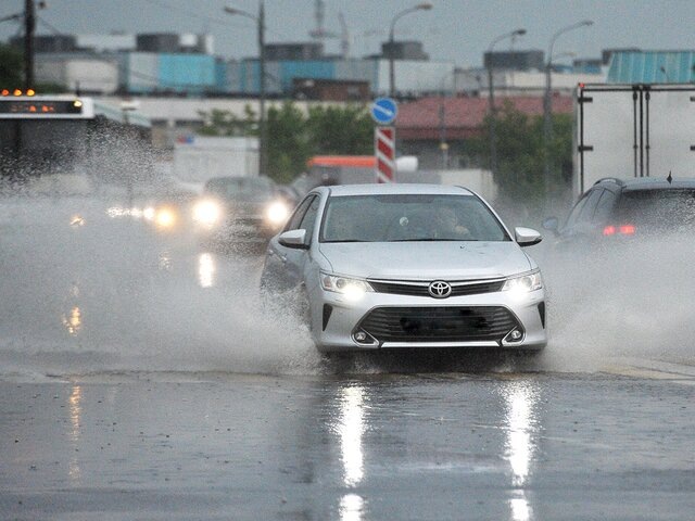    Фото: портал мэра и правительства Москвы