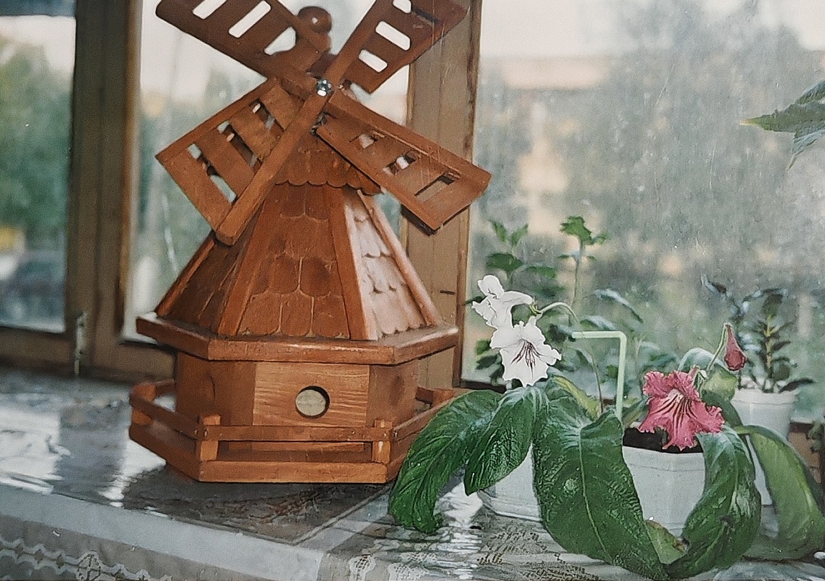 Архивное фото. 2002 год.Юная красавица мельничка.