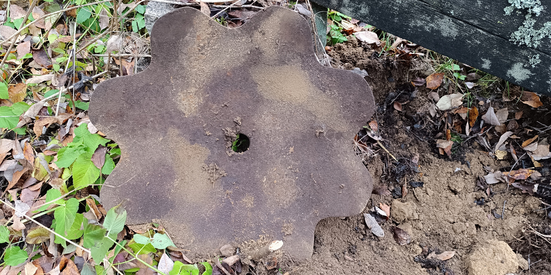 Исповедь металлокопаря, часть 3: Медведи, волки и цена выживания на Карельском перешейке