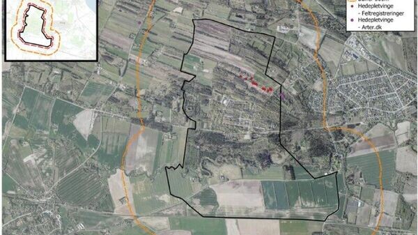    © telegram ukr_2025_ru