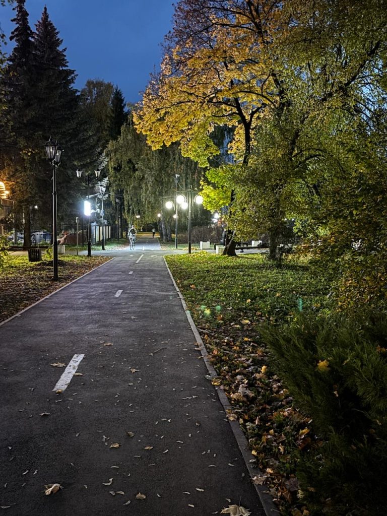    Григорьев Игорь