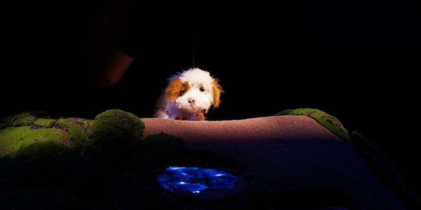    предоставлено пресс-службой театра "Karlsson Haus"