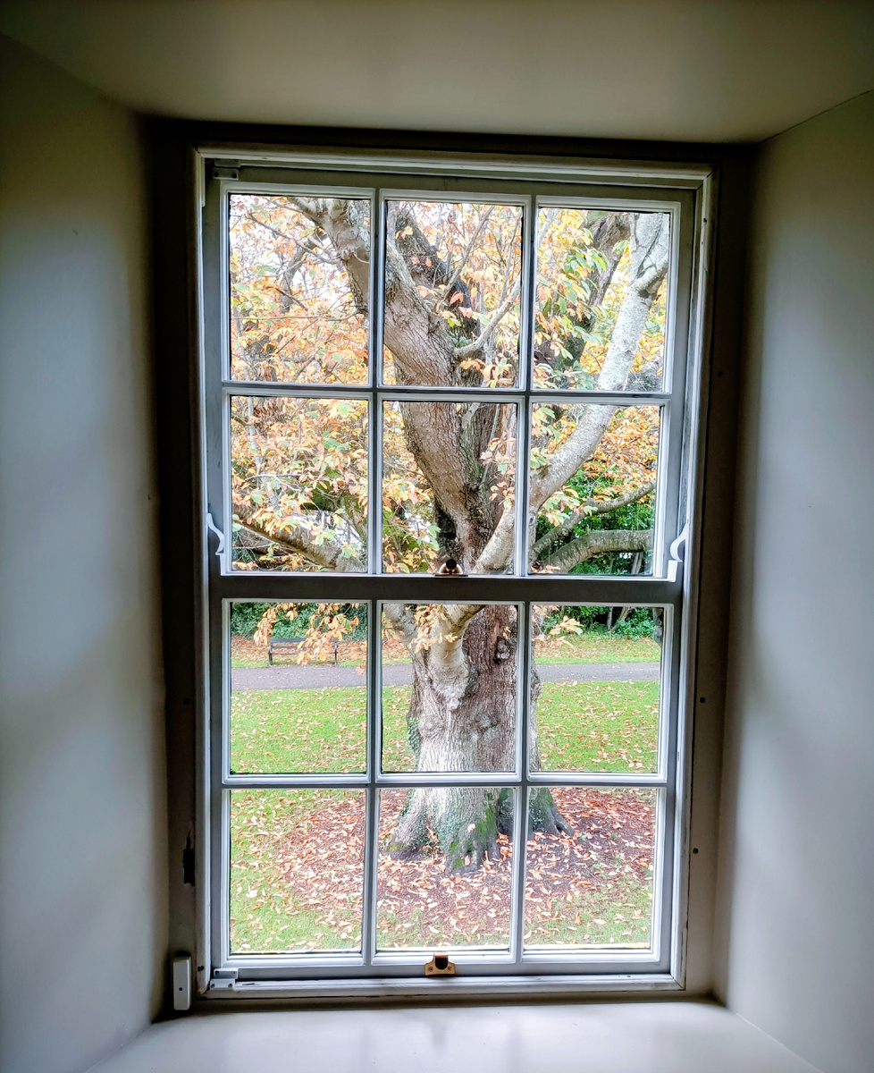 Killarney House and garden. Графство Керри. Ирландия . Фото автора 