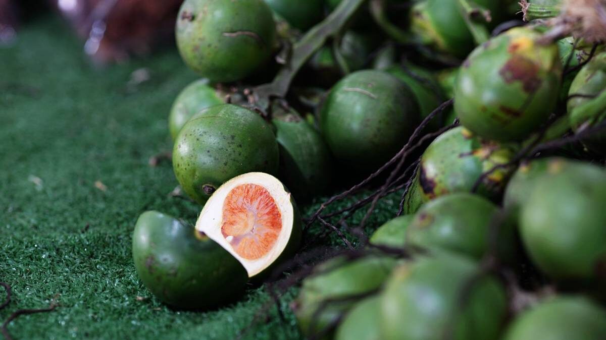    Фото: Shutterstock