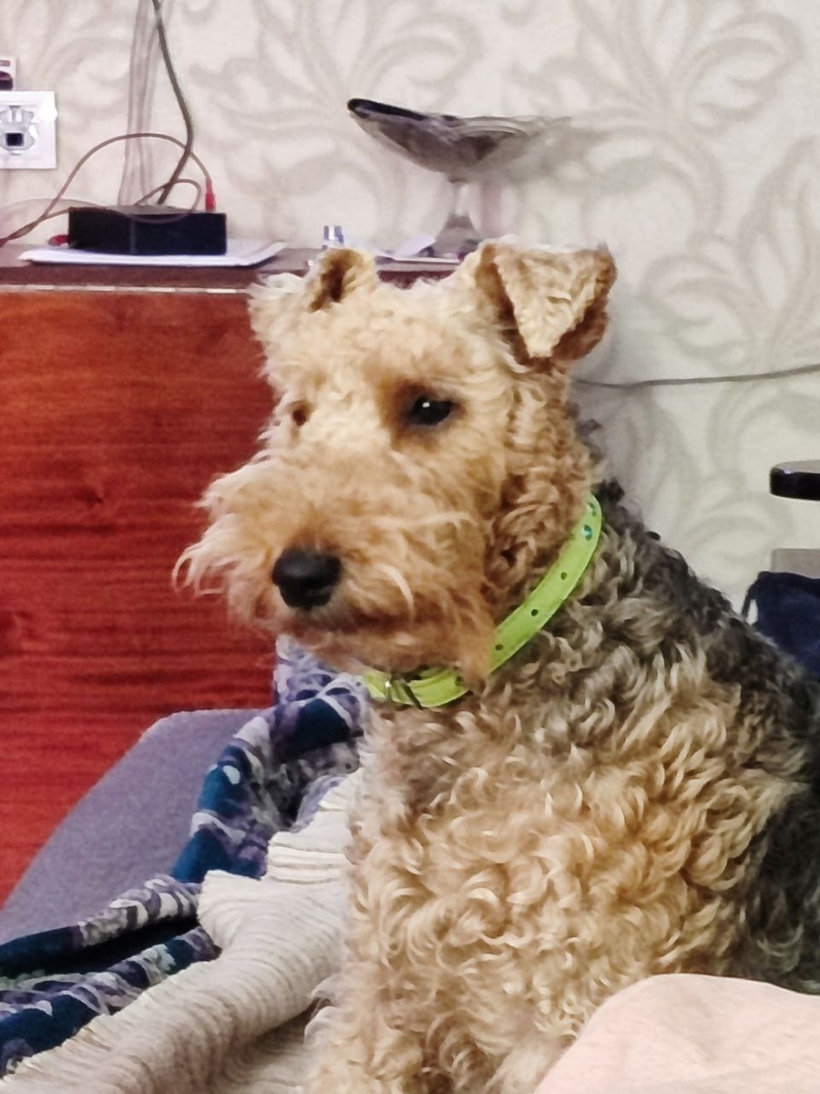 Вася в процессе постижения смысла Вселенной.