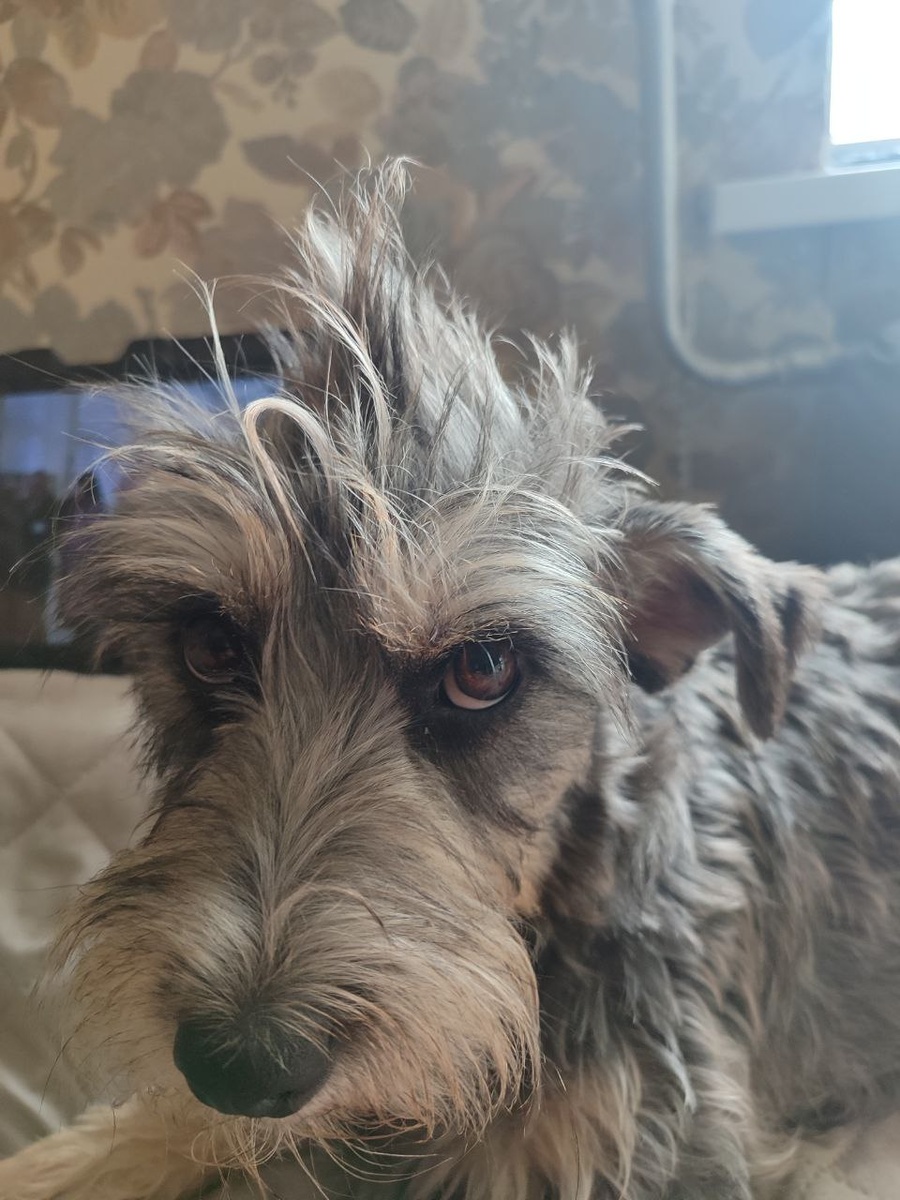 Боня.  Ей некогда думать, надо действовать!