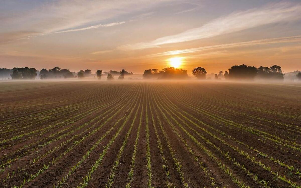    Суд снизил требования липецкого «Сентября» к тверской компании с 104 до 22 млн рублей Фото – «Giga Chat»