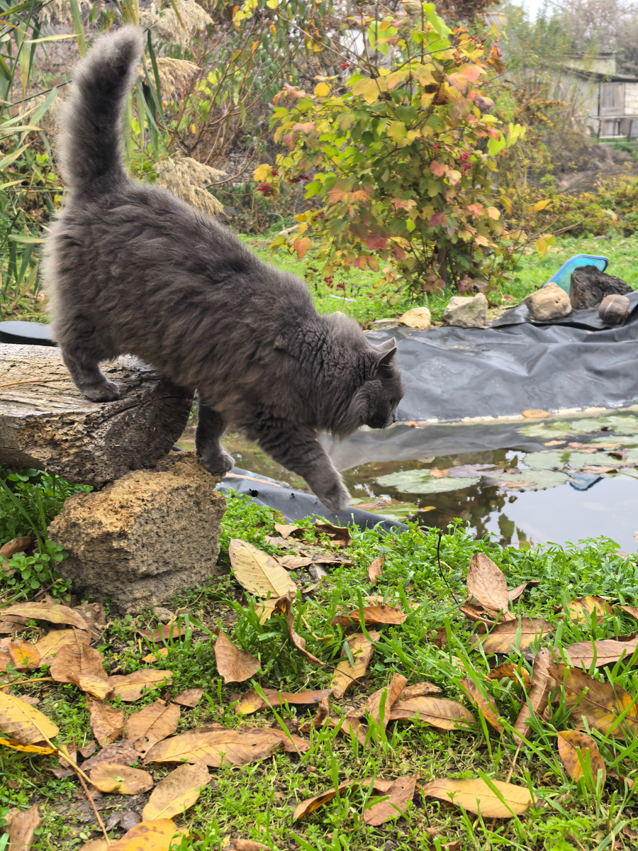 Примерно так