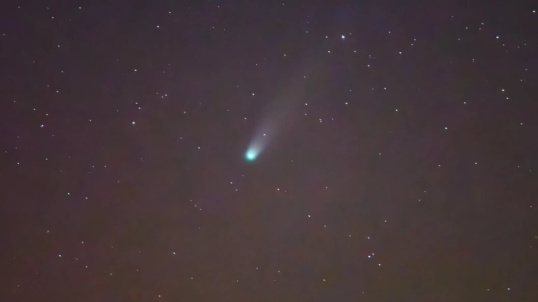    Фото: Patrick Pleul/dpa/Globallookpress