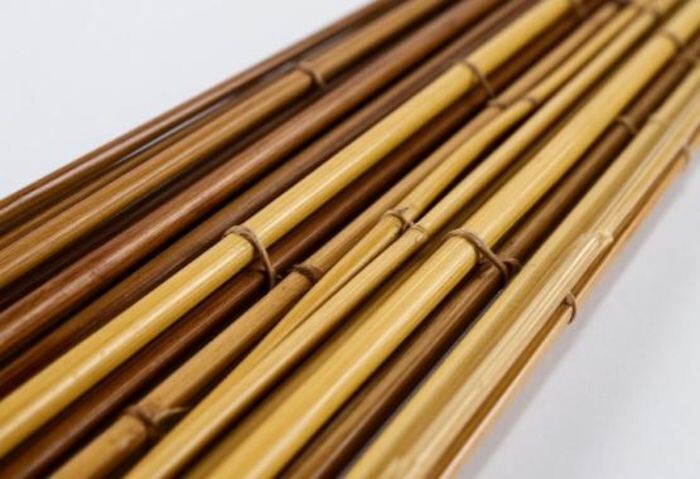 Иллюстрация: сгенерировано ИИ/ Шедеврум