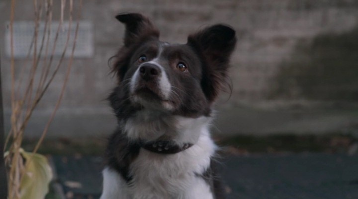 Кадр из сериал Здесь все свои - 1 сезон (Бронька)