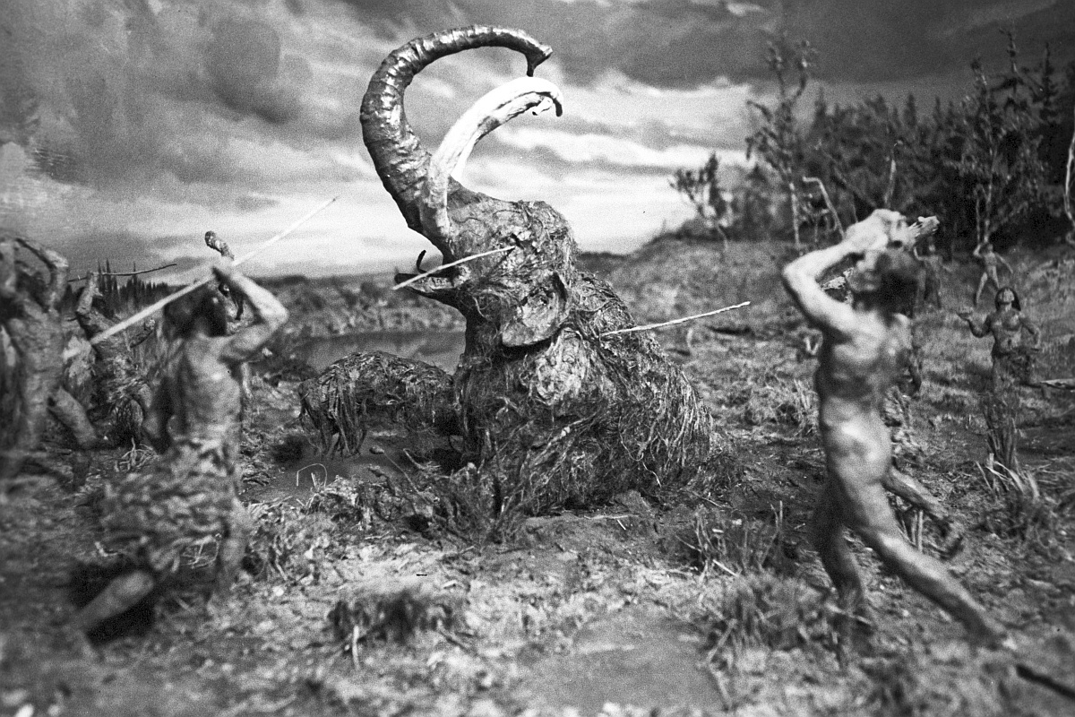    Охота на мамонта была делом опасным и непростым. На фото: диорама "Охота на мамонта" в Ленинградском зоологическом музее. / В. Барановский/РИА Новости