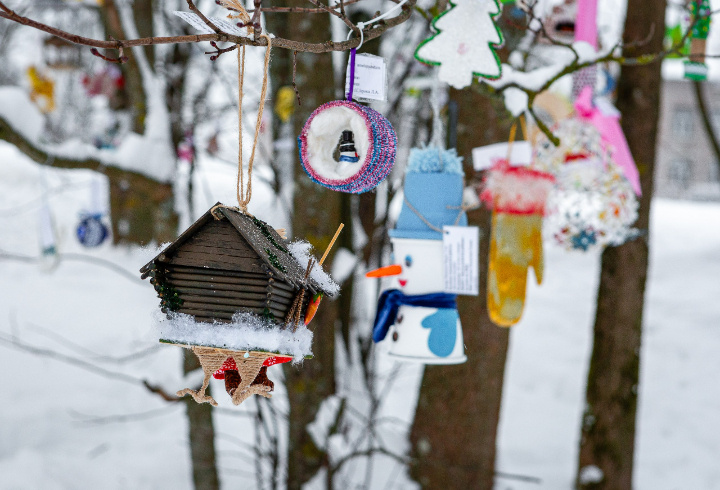 фото: Парковое агентство Ленобласти