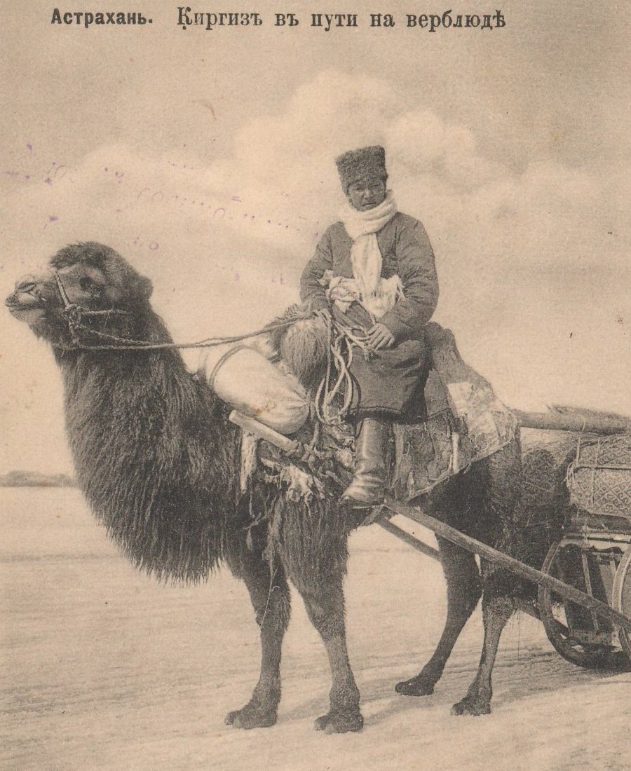 Киргиз на верблюде в Астрахани