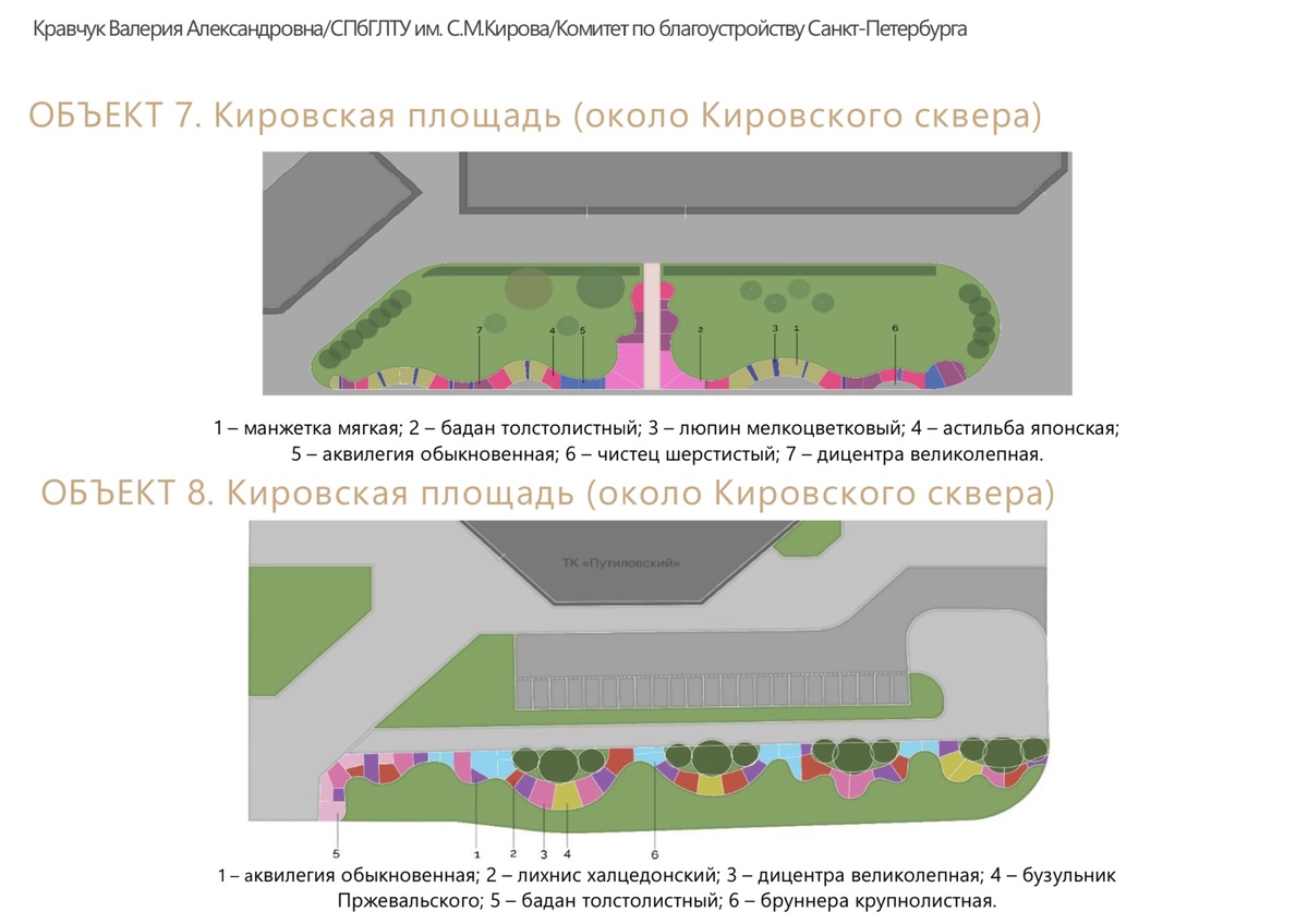 Презентация Валерии Кравчук, выпускницы Санкт-Петербургского лесотехнического университета им. С.М. Кирова (СПбГЛТУ им. С.М. Кирова), исполнителя дипломного проекта по заданию ИОГВ
