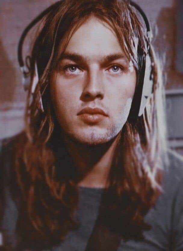 Дэвид Гилмор