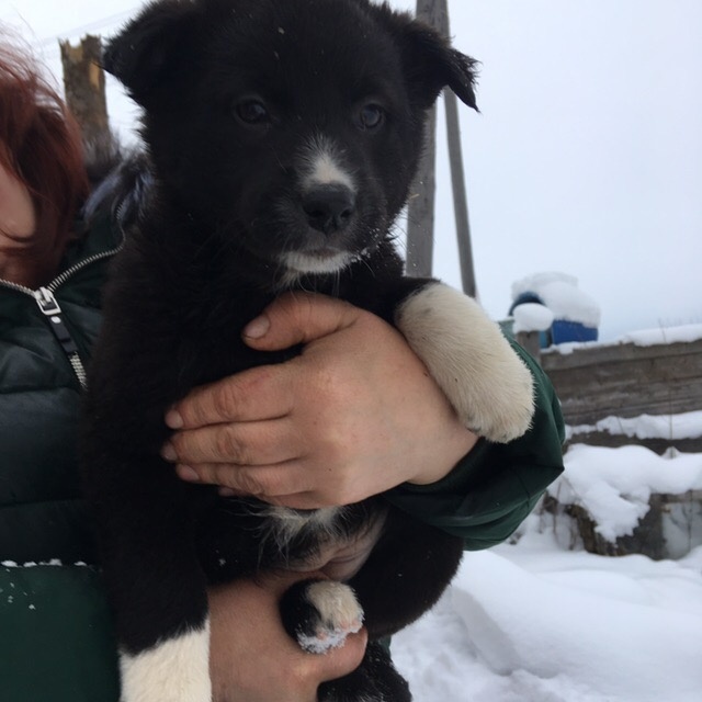 Её жизненный путь оборвался в 5 месяцев. 