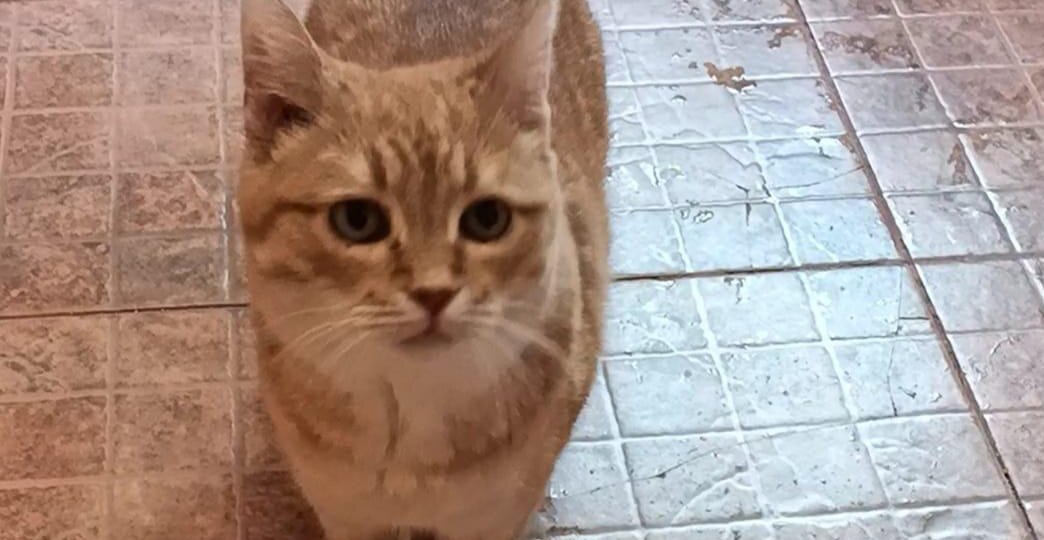 История Златы: Солнечный день и холодное сердце