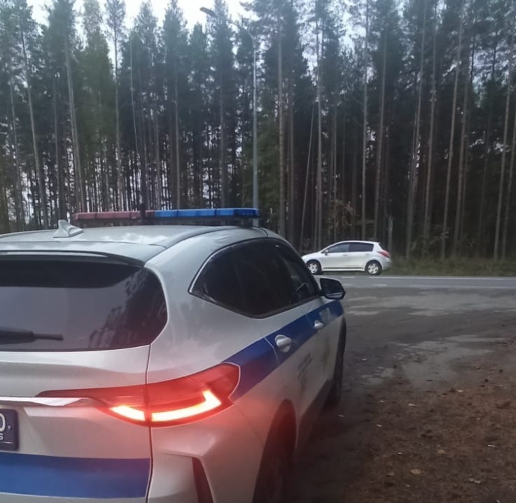    Госавтоинспекция Карелии