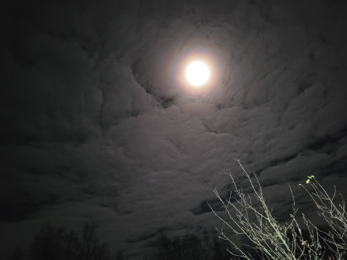 Вечерняя луна.