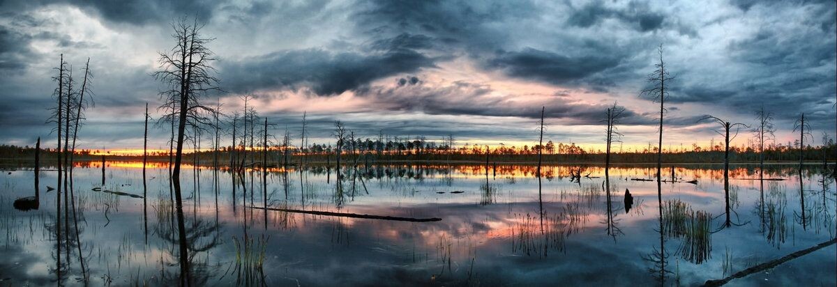 Сибирская Амазония: путешествие в царство северного оленя и клюквы