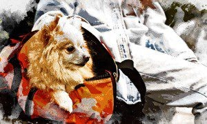 Изображение от freepik  📷
