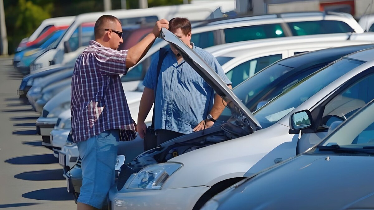 Источник Яндекс картинки