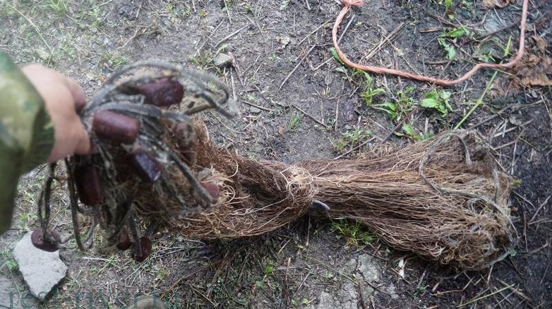 самодельная ряжевая сеть, рыжовка