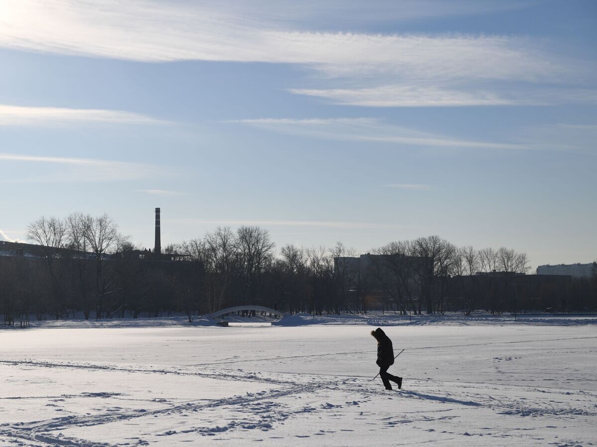    Зима в Москве© РИА Новости / Валерий Мельников