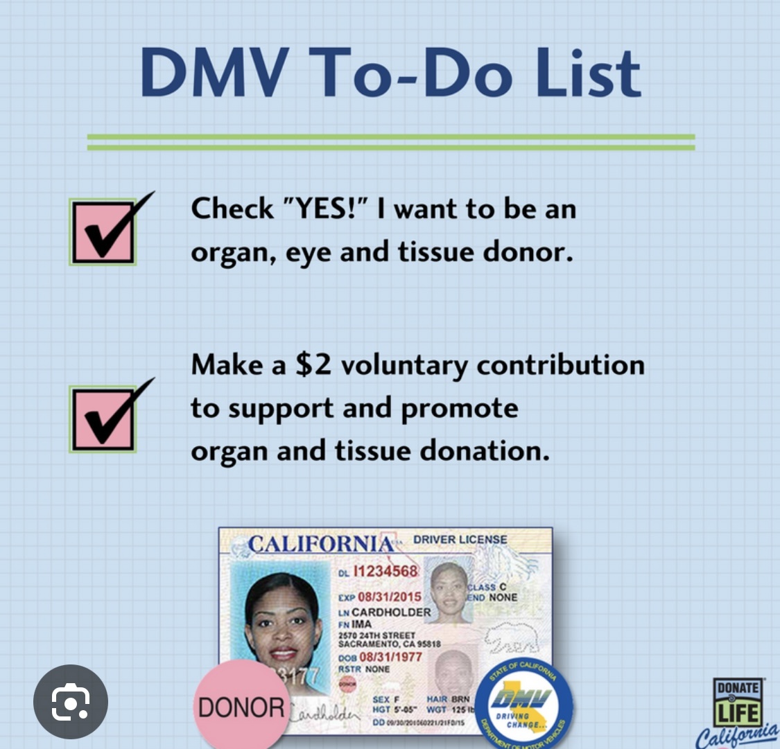 Вот так выглядят водительские права доноров в Калифорнии 