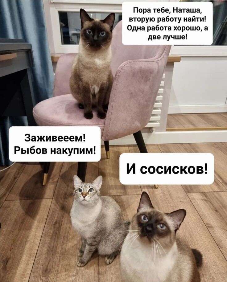 источник Яндекс-картинки