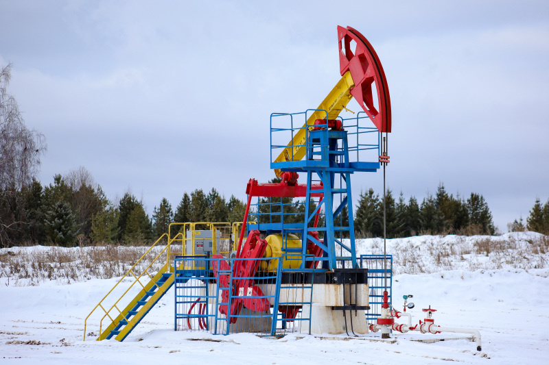    Фото: Elena Mayorova/Globallookpress