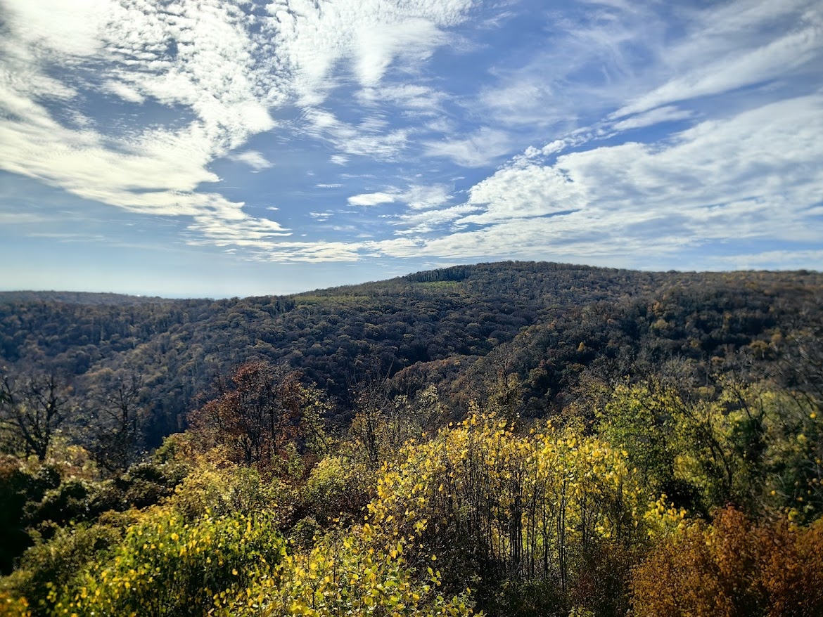 Национальный парк Фрушка Гора. Вид с Врднички башни