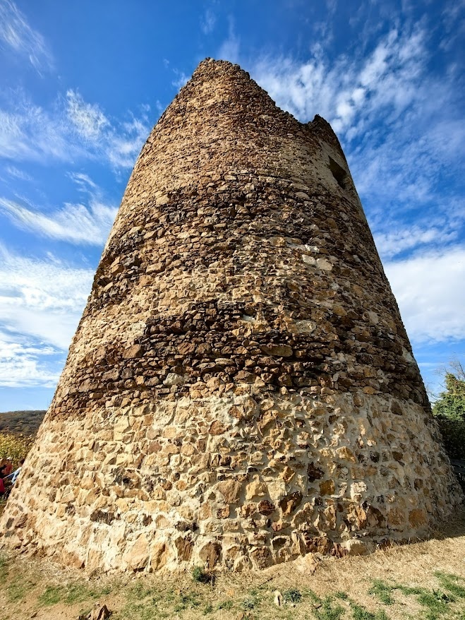 Врдничка кула