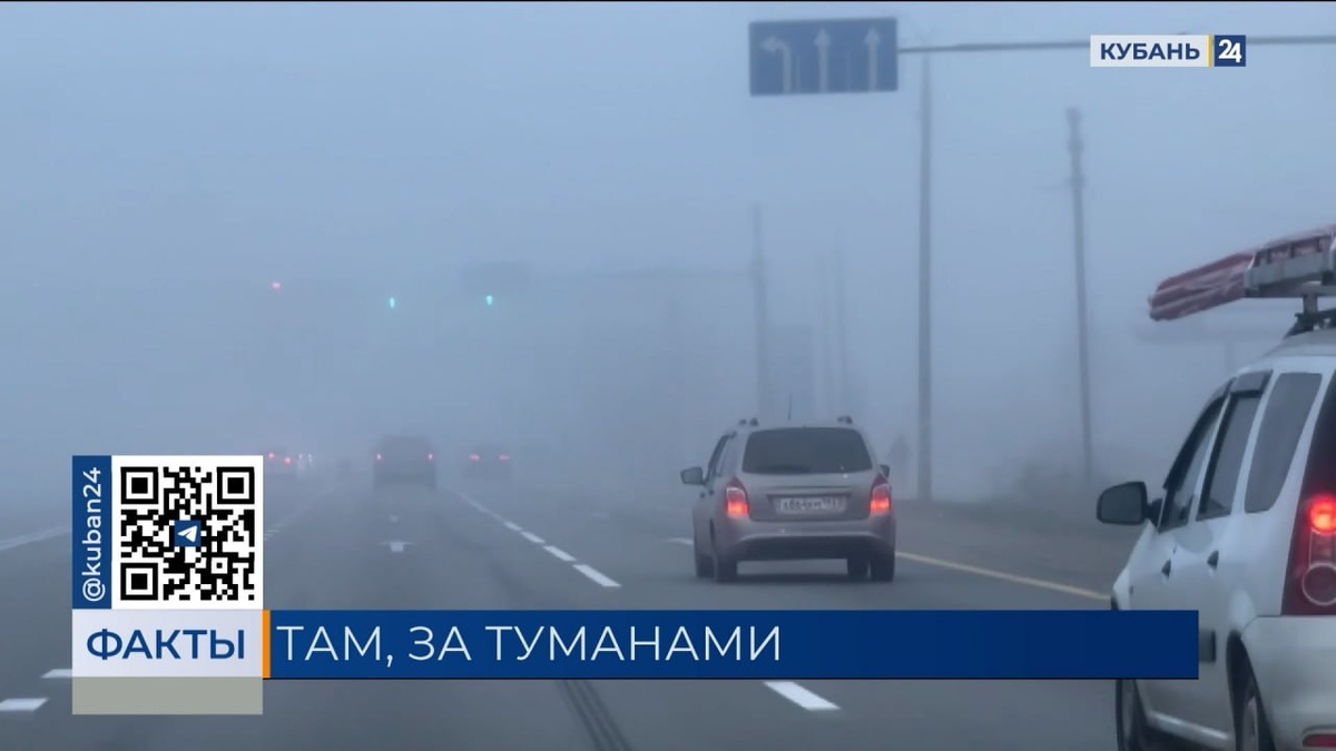    Скриншот видео телеканала «Кубань 24»