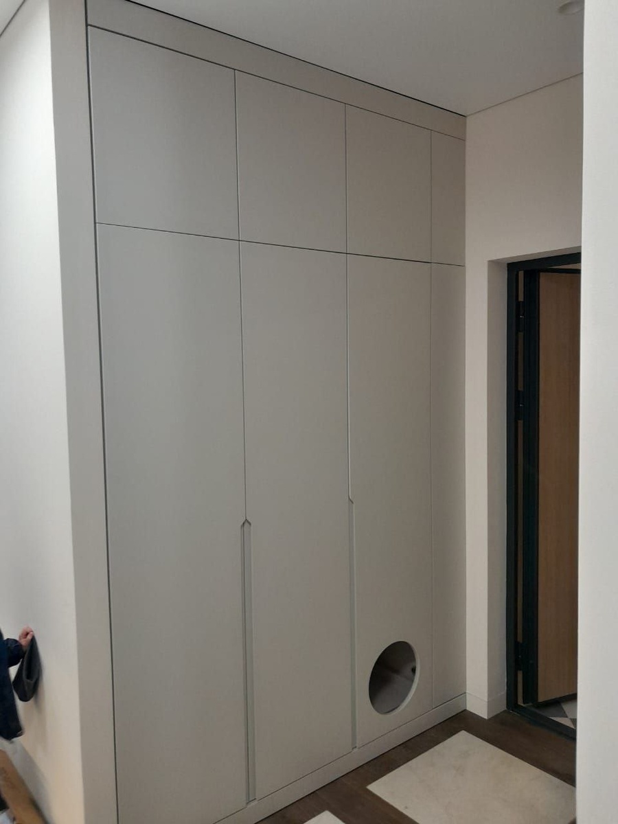 Встроенный распашной шкаф с проходом для кота