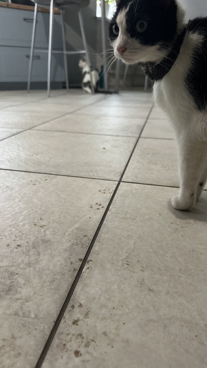 Картина на полу😀