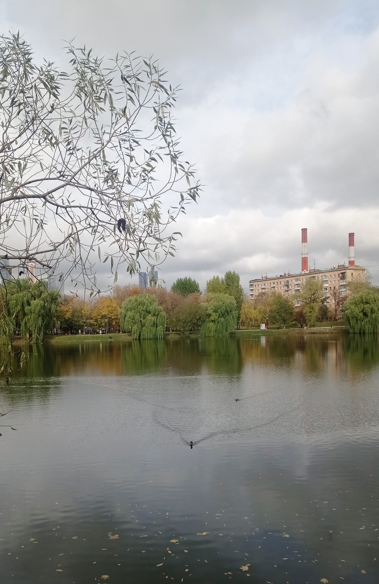 Парк Новодевичьего монастыря.