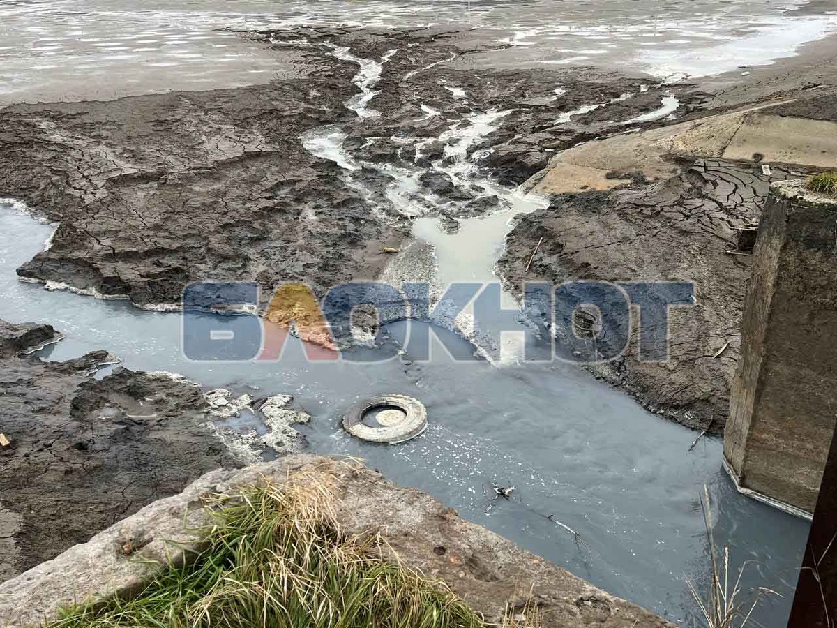 Остатки воды в пруду Тепличный Фото: «Блокнот Донецк»