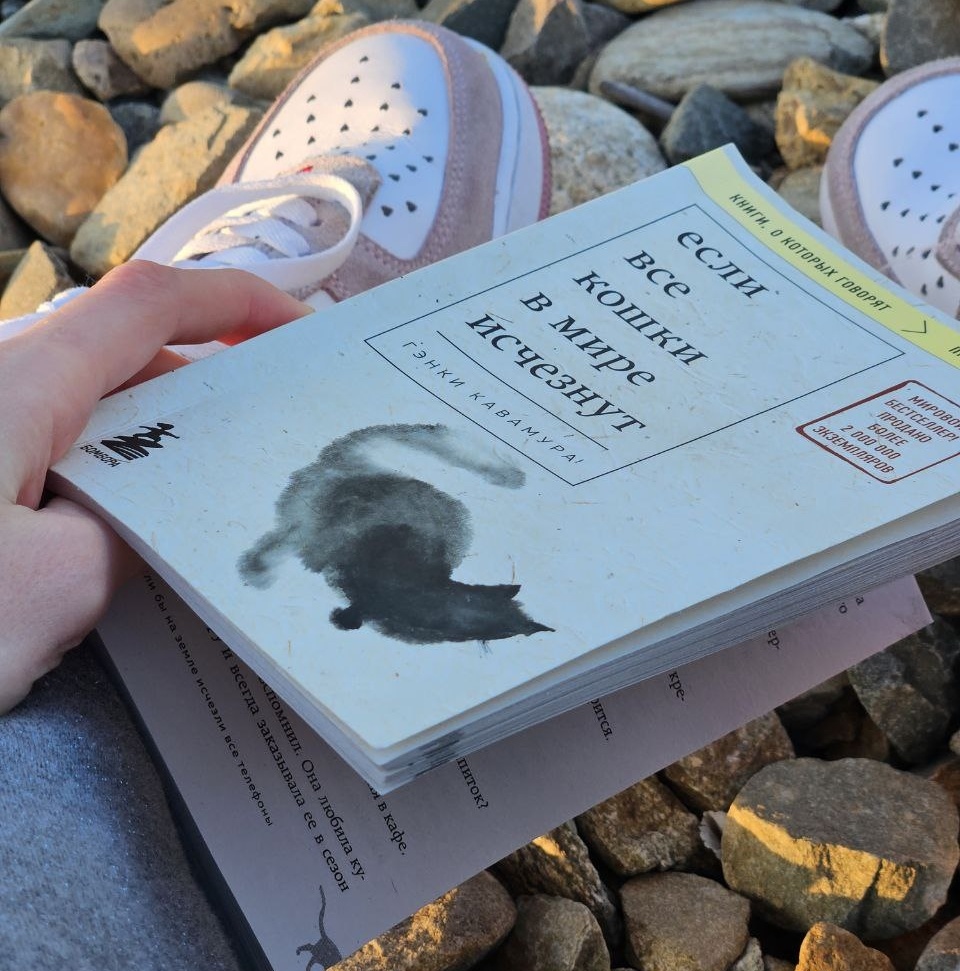 Подарили книжку на день рождения, читаю