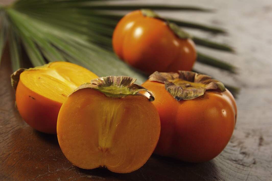 Фото: Global Look Press/CSH via www.imago-images.de