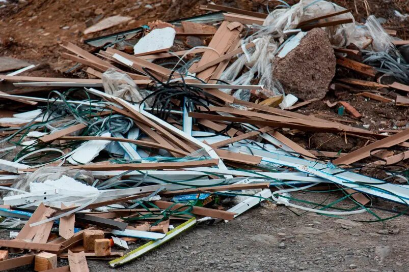    Фото: primamedia.ru Полина Белоусова