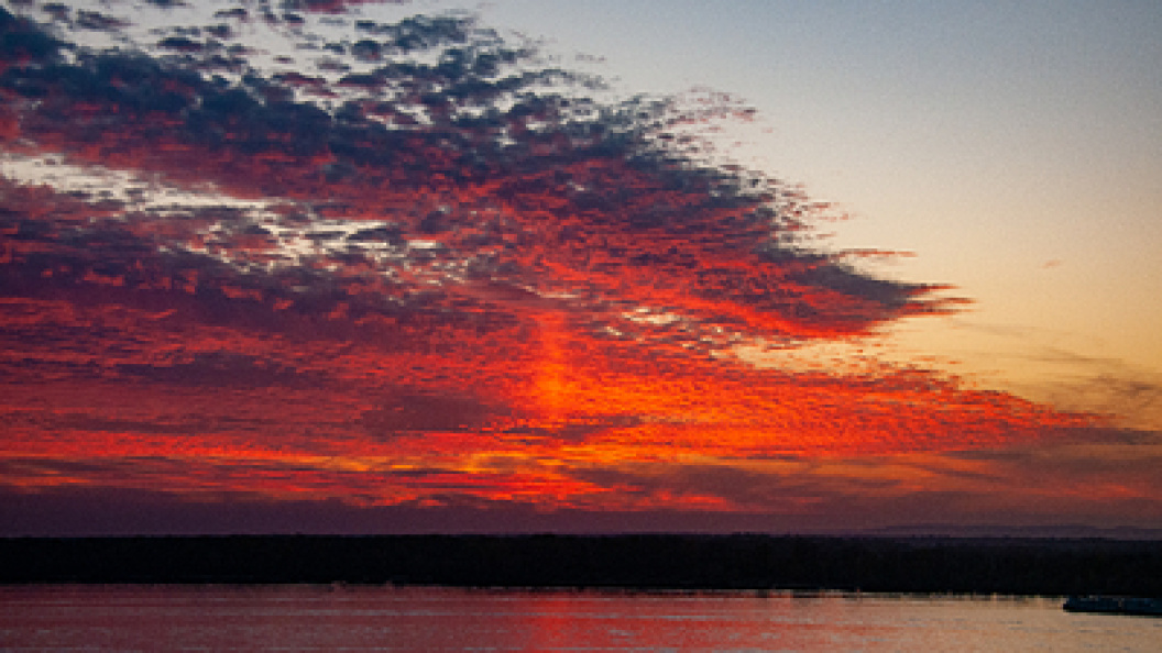    Фото: Svetlana Vozmilova/Globallookpress