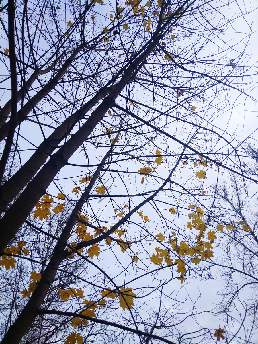 Солнце-е-е-е! 