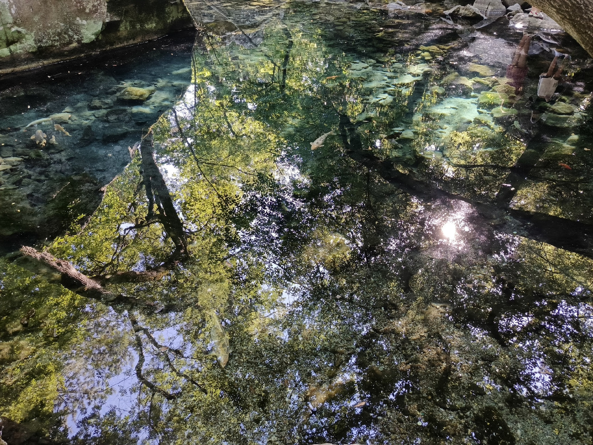 Это самое  очаровательное  место  в  городе  Алупка-Лунное  озеро!!!..  вблизи  самых красочных,таинственно    журчащих музыкой  моря  пляжей!!! Их  Вы  услышите  в  роликах с  потрясными  медитациями !